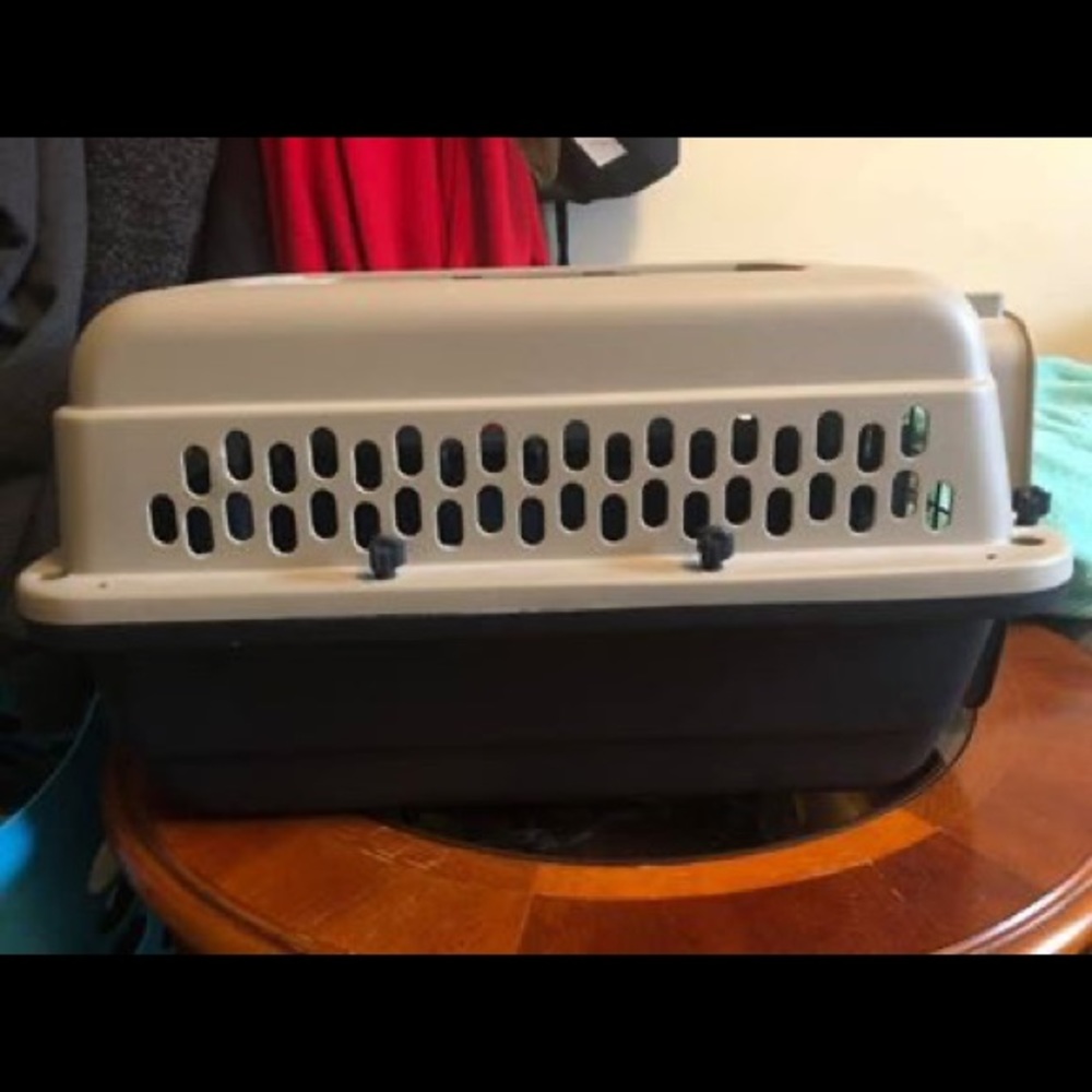 Cat carrier